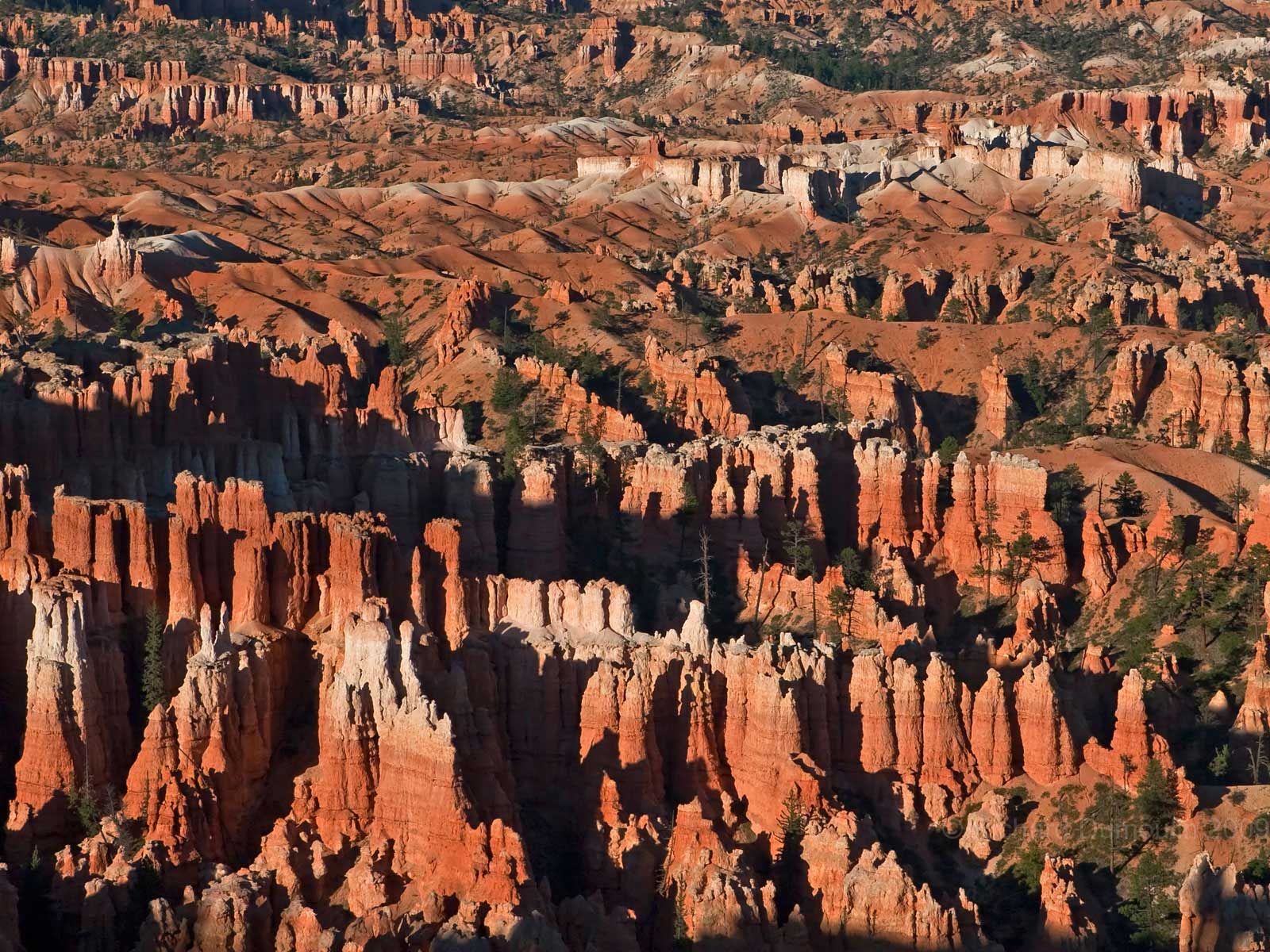 Hoodoos valley, Bryce Canyon, Utah