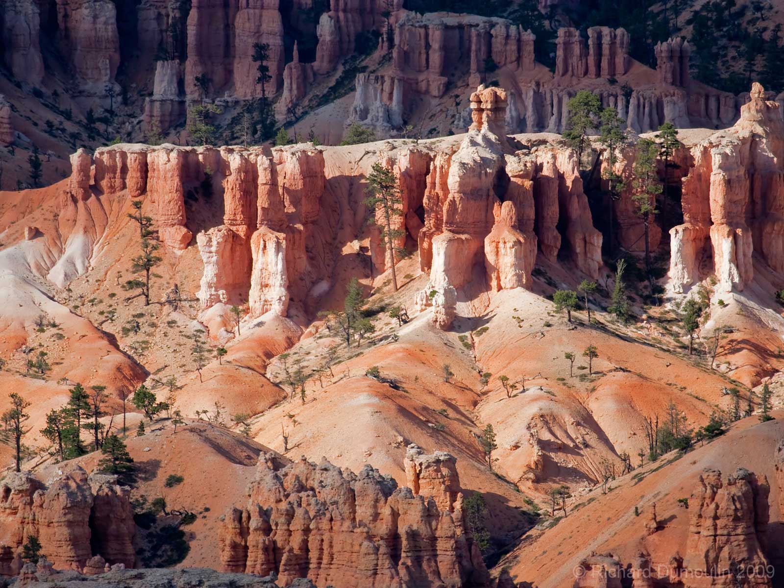 Bryce Canyon's Hoodoos
